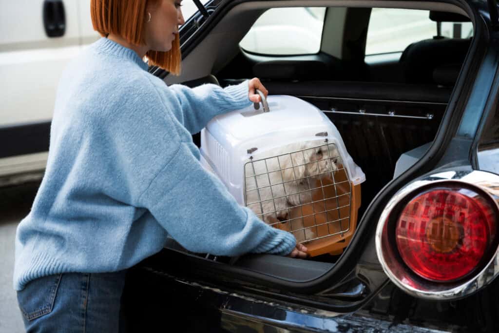 A lady putting a dog in a travel crate in the boot of her car.