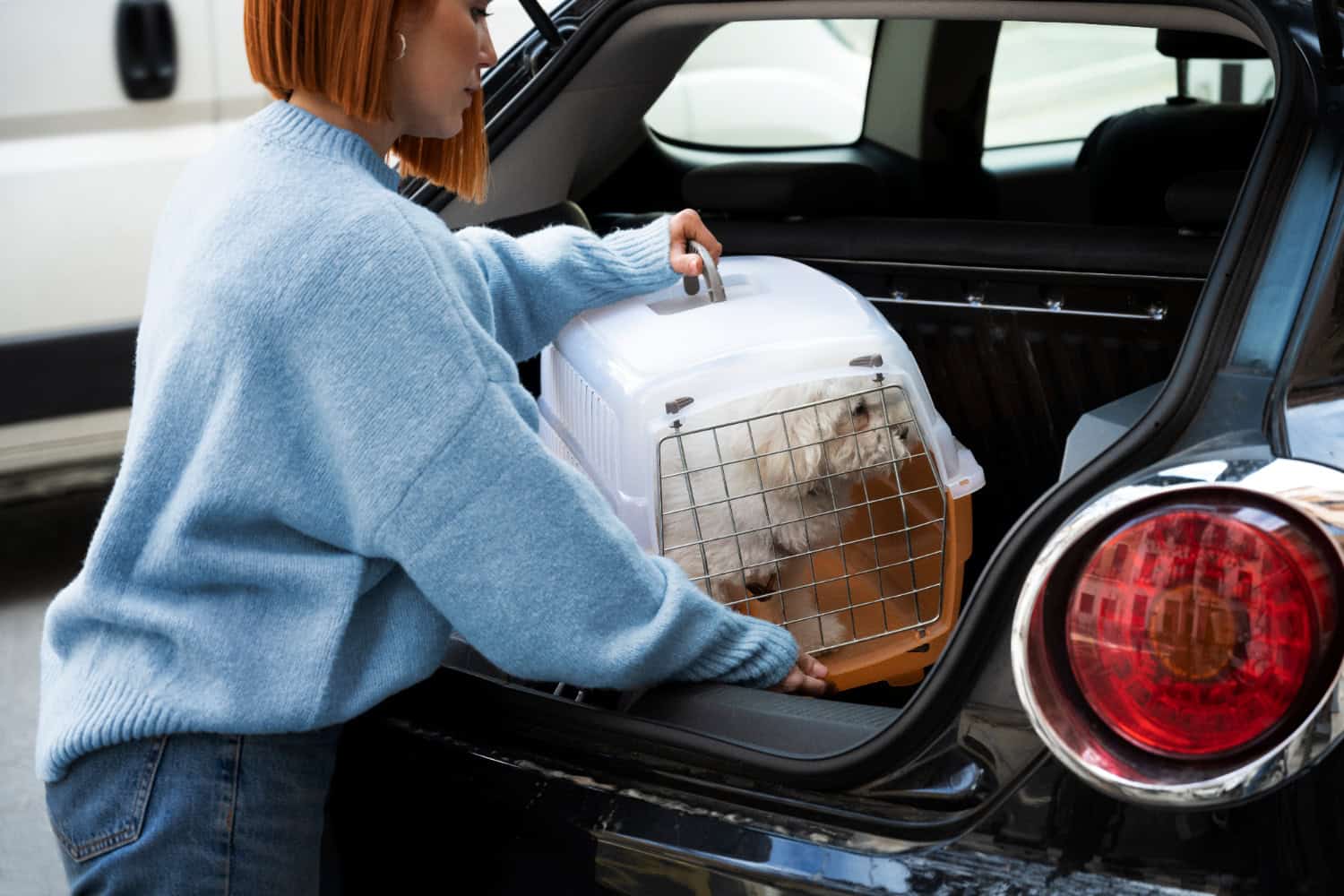 A lady putting a dog in a travel crate in the boot of her car.